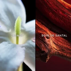 GUERLAINSamsara                Eau de Parfum