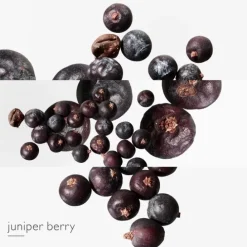 HERMÈSEau des Merveilles Bleue                Recharge Eau de Toilette