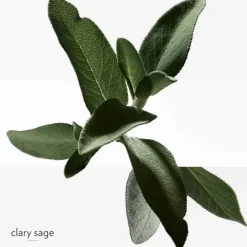 HERMÈSH24                Lavant Solide Visage et Corps