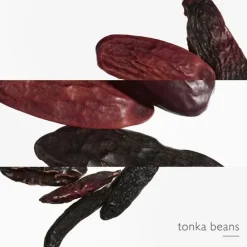 HERMÈSL'Ombre des Merveilles                Eau de Parfum