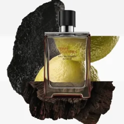 HERMÈSTerre d'Hermès                Eau de Parfum Intense