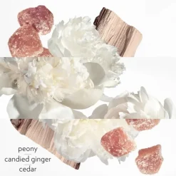 HERMÈSTwilly d'Hermès Eau Ginger                Eau de Parfum