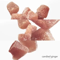 HERMÈSTwilly d'Hermès Eau Ginger                Eau de Parfum