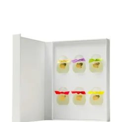 HoubigantCollection Privée                Coffret Miniatures