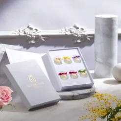 HoubigantCollection Privée                Coffret Miniatures