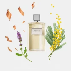 INCENZAMimosa                Eau de Toilette