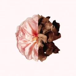 Irresistible Givenchy                Eau de Parfum