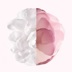 Irrésistible Givenchy                Eau de Parfum Very Floral