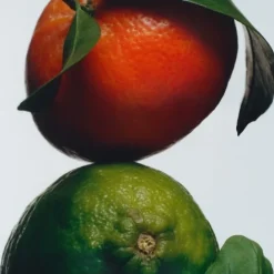 Jo MaloneLime Basil & Mandarin                Cologne