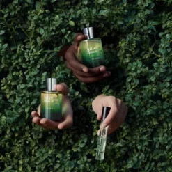 Juliette Has a GunEx Vetiver                Eau de Parfum