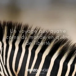 Kenzo Jungle Homme                Eau de Toilette