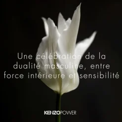 Kenzo Power                Eau de Toilette