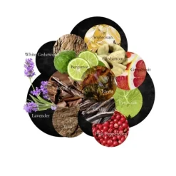 Lalique White In Black                Eau de Parfum