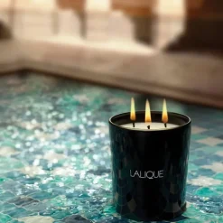 LaliqueNéroli Casablanca Maroc                Bougie Parfumée