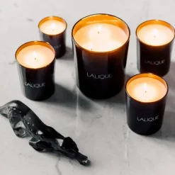 LaliqueNéroli Casablanca Maroc                Bougie Parfumée