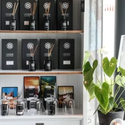 LaliqueVoyage de Parfumeur                Figuier Amalfi Italie - Diffuseur de Parfum