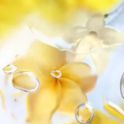 LANCÔMEÔ ZENITH Eau de Toilette