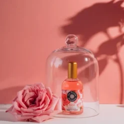 Les Petits PlaisirsRose                Eau de Toilette