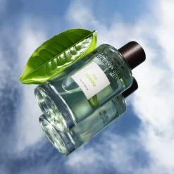 Les Senteurs GourmandesThé Absolu Eau de Parfum