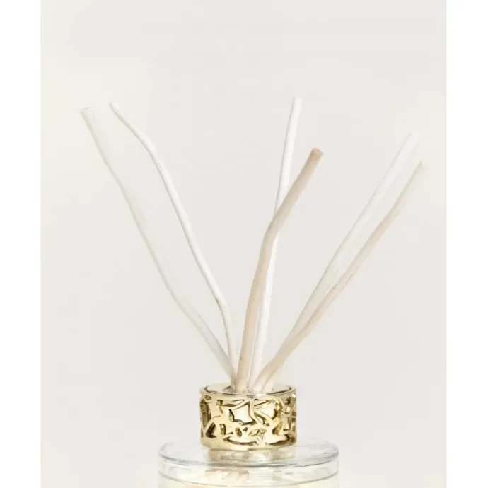 Maison Berger ParisDuo mini Bouquet & Bougie Lolita Lempicka Transparent Coffret Parfum d'intérieur