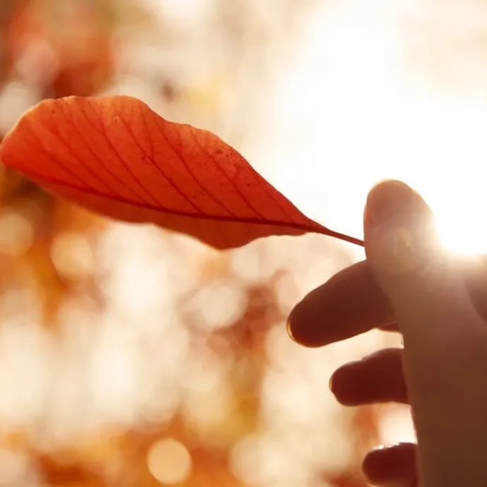 Maison MargielaREPLICA Autumn Vibes Eau de Toilette