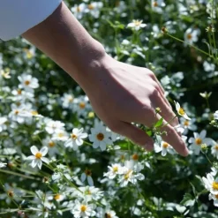 Maison MargielaREPLICA Springtime in a Park                Bougie Parfumée Florale Fraîche