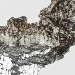 Matière PremièreFalcon Leather                Extrait de Parfum