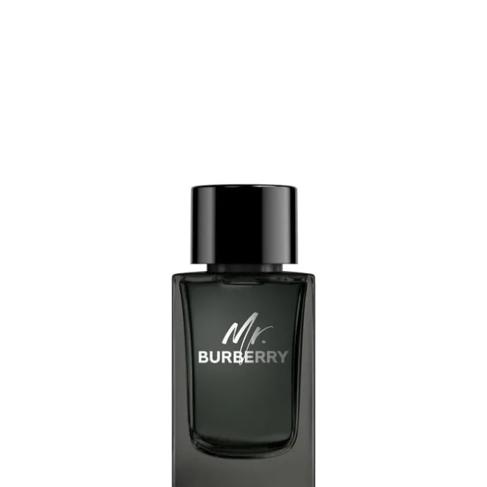 Mr. Burberry Eau de Parfum