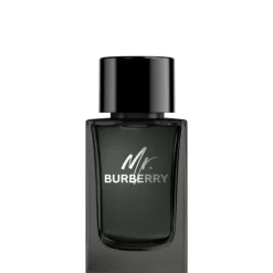Mr. Burberry Eau de Parfum