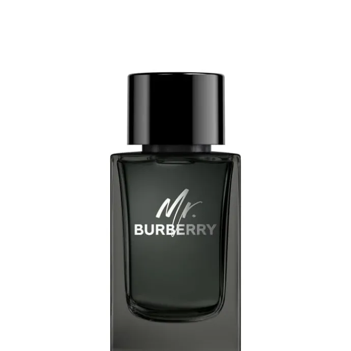 Mr. Burberry Eau de Parfum