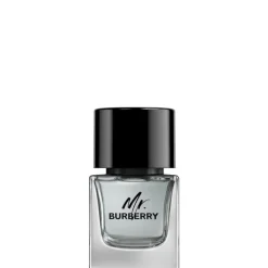 Mr. Burberry                Eau de Toilette