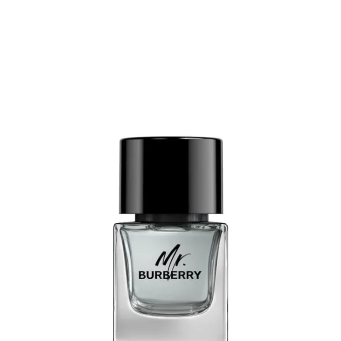 Mr. Burberry Eau de Toilette