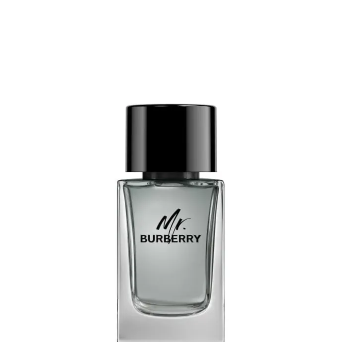 Mr. Burberry Eau de Toilette