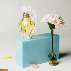 NINA RICCIL'Air du Temps                Eau de Toilette