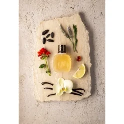 Paloma PicassoMinotaure                Eau de Toilette