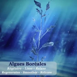 PolaarNuit Polaire aux Algues Boréales                Elixir Revitalisant