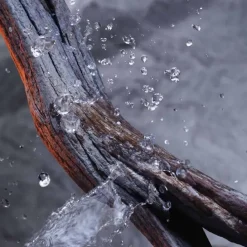 RABANNEInvictus                Shampooing Corps et Cheveux