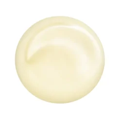 Shiseido Men                Revitalisant Total Yeux