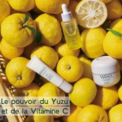 SHISEIDOWaso                Essence Yeux Energisante