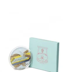 TrudonErnesto                Coupelle à Bougie