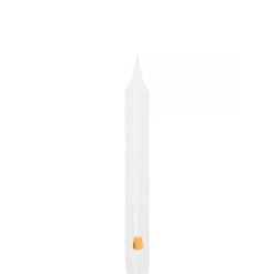 TrudonGabriel -  Feu de Bois Gourmand                Bougies Parfumées de la Madeleine