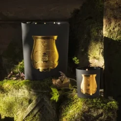 TrudonMary                Bougie Parfumée