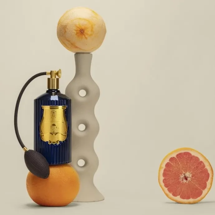 TrudonSalta Vaporisateur d'Ambiance