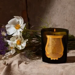 TrudonSolis Rex                Bougie Parfumée