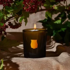 TrudonSolis Rex                Bougie Parfumée