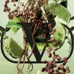 Valentino Born in Roma Green Stravaganza Uomo                Eau de Toilette pour Lui Fougère Ambrée