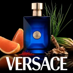 VersaceDylan Blue                Eau de Toilette