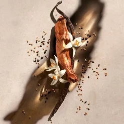 ZADIG&VOLTAIREZadig                Eau de Parfum